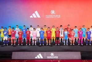 kaiyun-多省份城市足球联赛即将启幕：浙江率先开打，江苏湖北紧随|浙江队|苏超|浙江省城市足球联赛|赛事|齐鲁_新浪体育_新浪新闻